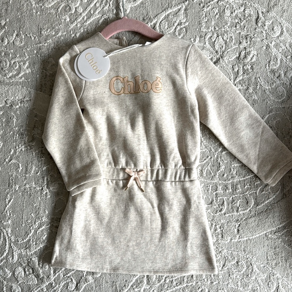 Chloe Swearshirt Dress (3T)